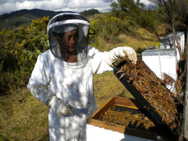The Natural Environment of New Zealand - Part 2