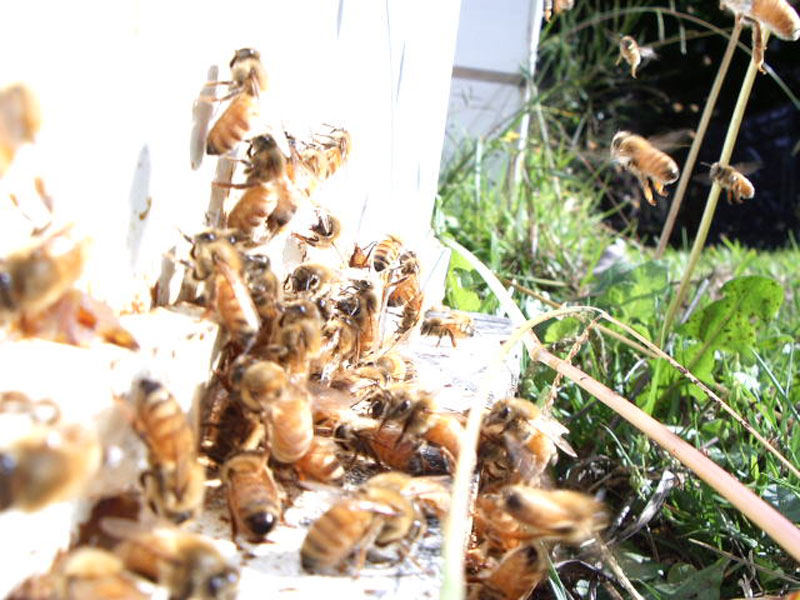 Information We Share with Our Customers