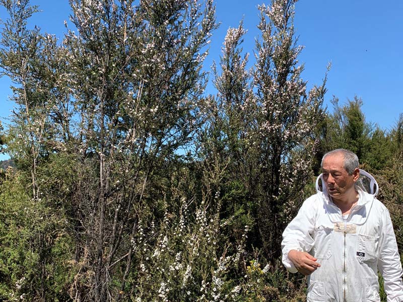 Feedback from Healthcare Professionals