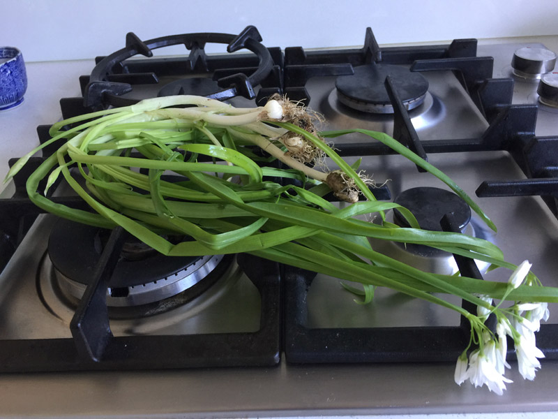 Beautiful yet Troubling Spring