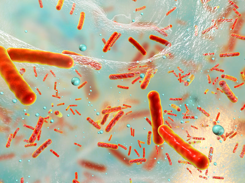 About Antimicrobial Resistance (AMR) – Part 1