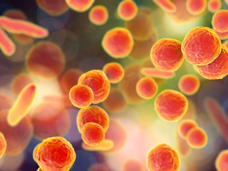 Pneumonia and Antibiotics - Part 2