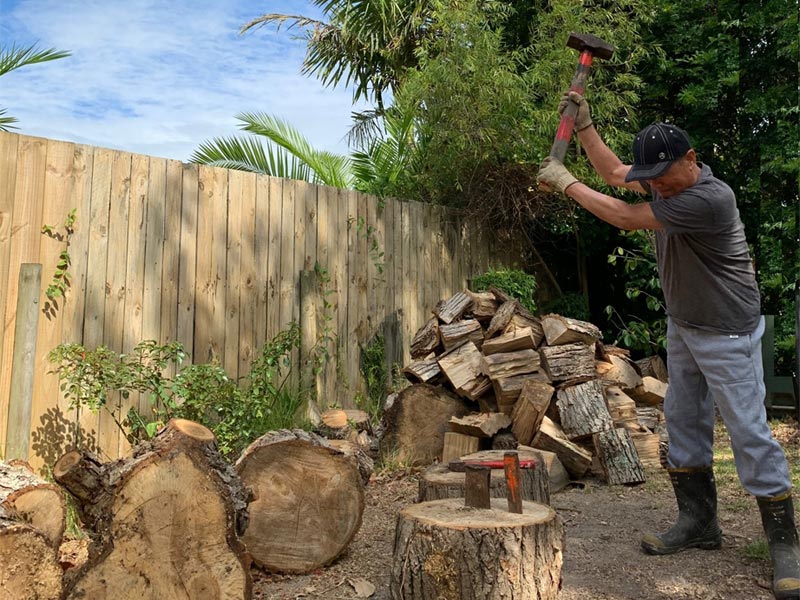 Drought Conditions in New Zealand's Summer