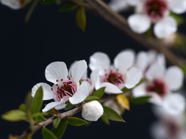 Things to Avoid in Excessive Use