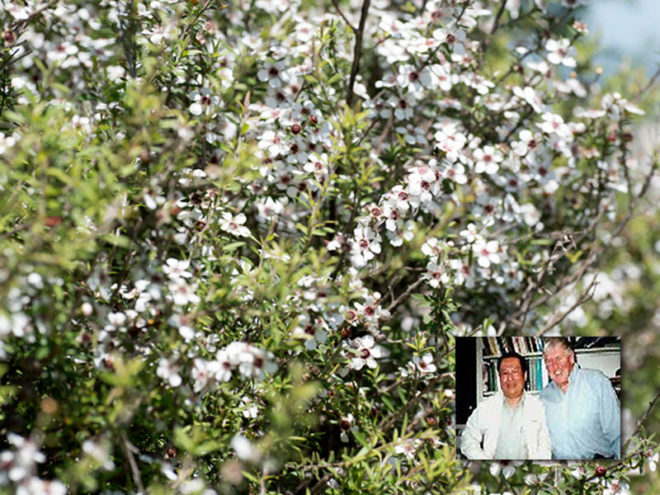 Dr. Peter Molan and Me - Part 1